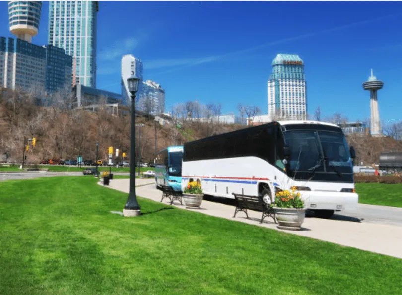 White 55 Passenger Charter Bus for charter bus rental