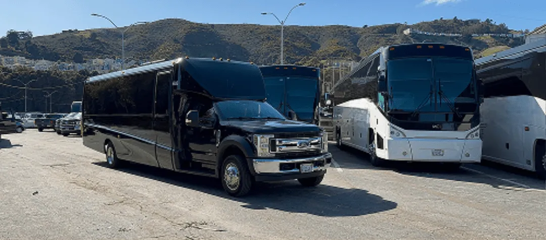 20 Passenger Minibus (black) featuring tinted windows